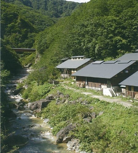峩々温泉 炭酸水素塩泉